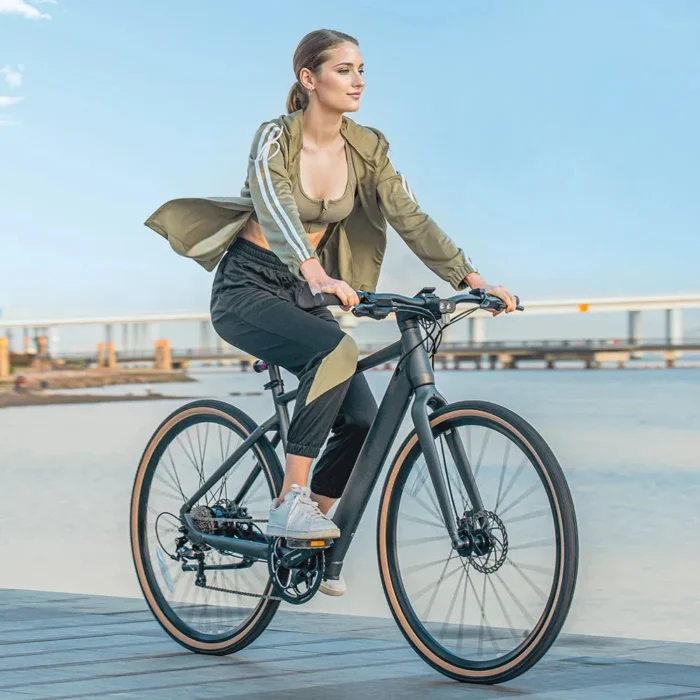 NOWOSC-Fiido-C21-najlepszy-gravel-ebike-250W-175kg-80KM-5.webp