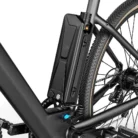 NOWOSC-Fiido-C21-najlepszy-gravel-ebike-250W-175kg-80KM-9.webp