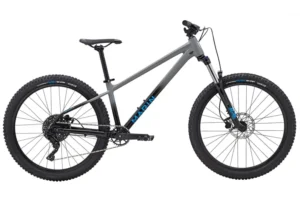 Rower MTB MARIN San Quentin 1 29