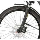 Rower-elektryczny-WINORA-Sinus-N8-2.webp