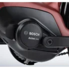 Rower-elektryczny-WINORA-Tria-8-N8f-Eco-2.webp