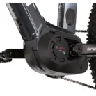 levit-corax-bosch-cx-3-2-195615-f-sk7-w780-h554_13.webp